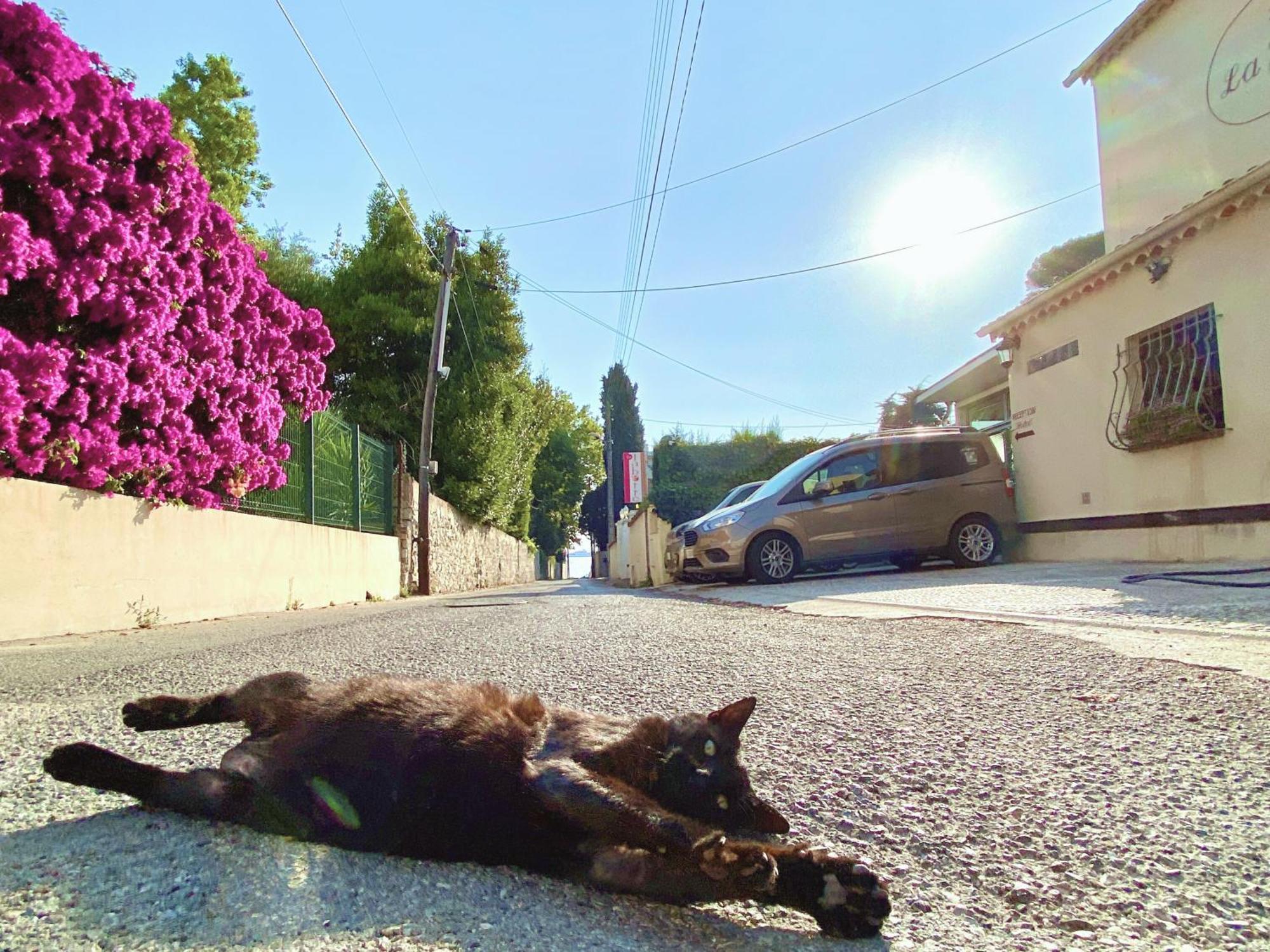 Hotel La Jabotte Antibes Esterno foto