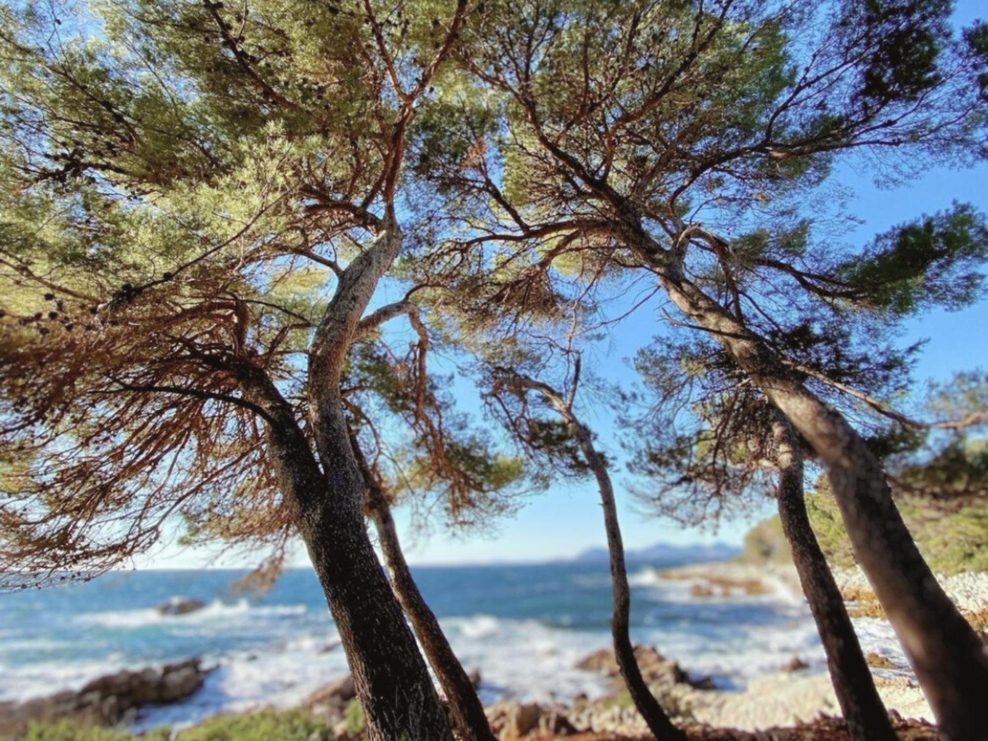 Hotel La Jabotte Antibes Esterno foto